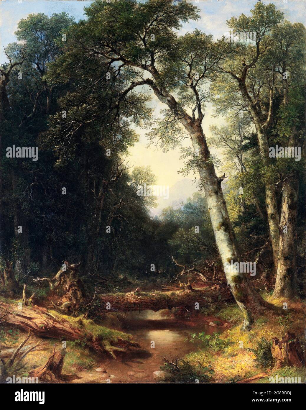 Un ruisseau dans les bois par Asher Brown Durand (1896-1886), huile sur toile, 1865 Banque D'Images