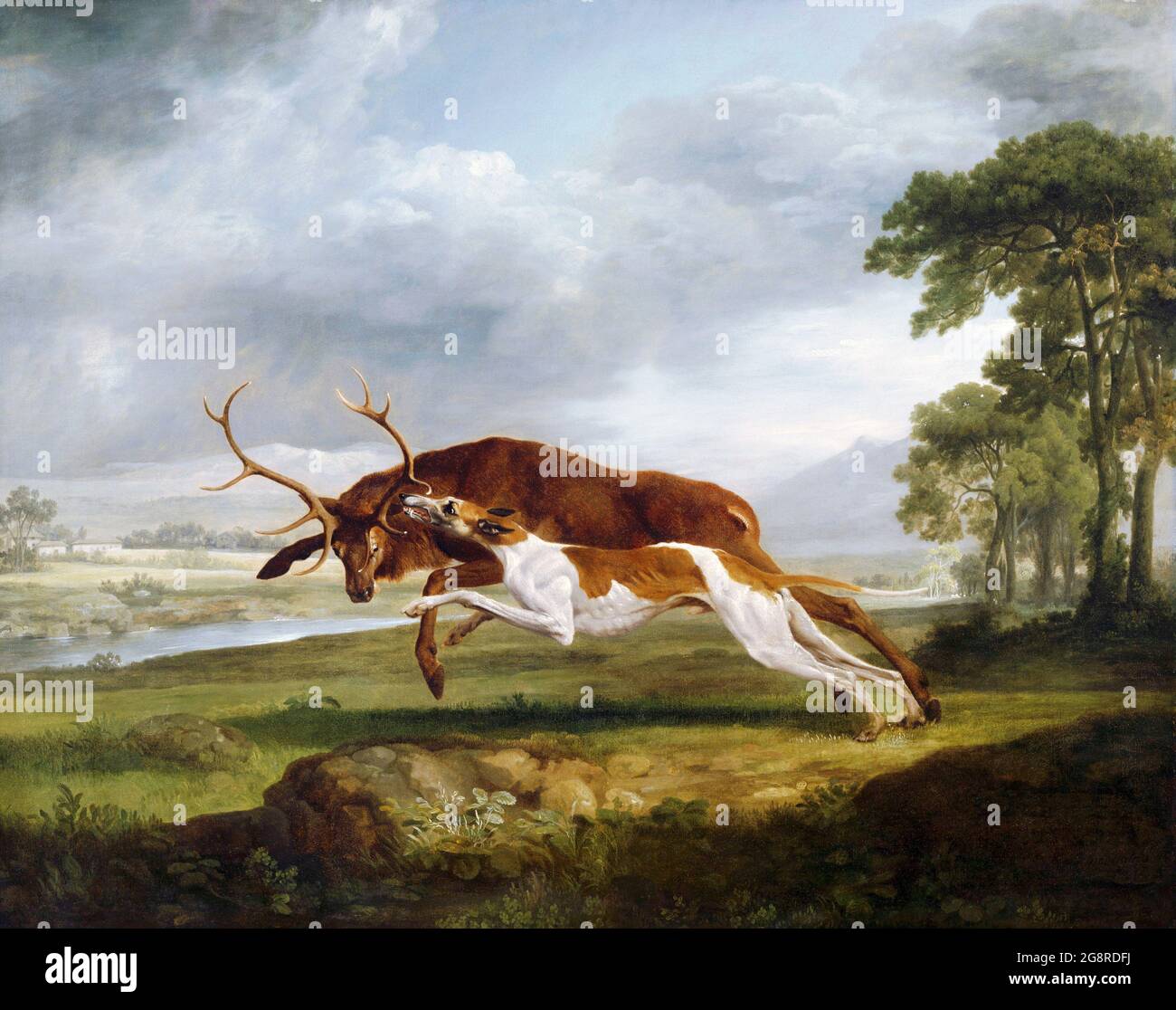 Hound courtisant un cerf de George Stubbs (1724-1806), huile sur toile, vers 1762. Banque D'Images