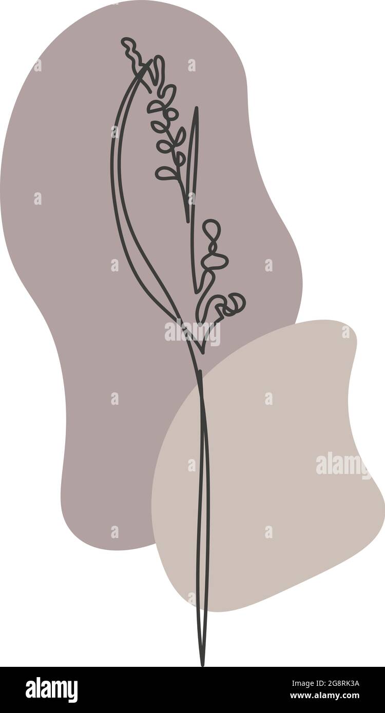 Plante dessinée dans un vecteur par une ligne continue. Illustration de Vecteur
