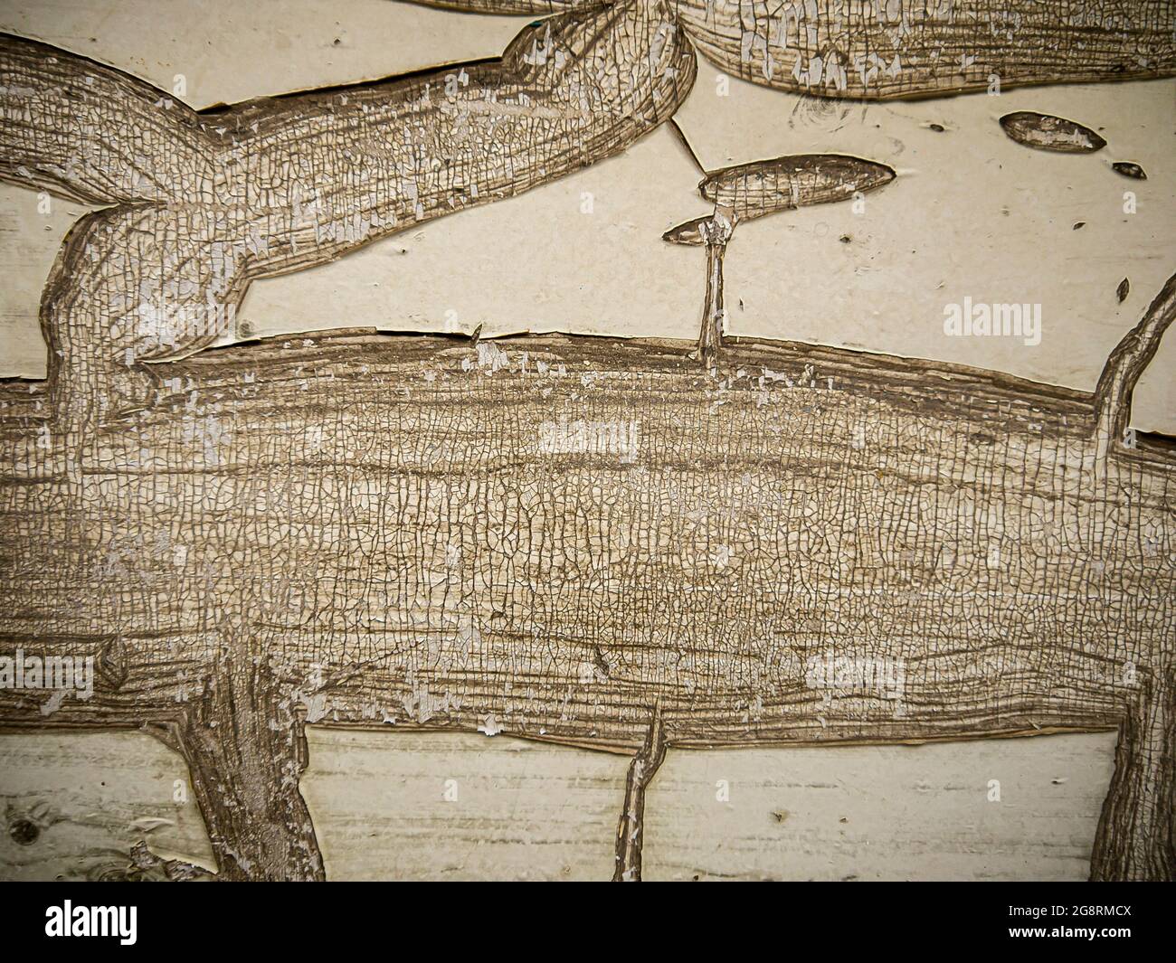 Arrière-plan sous la forme d'une surface avec de la peinture à l'huile ancienne fissurée des effets du soleil. La texture d'une surface plane fissurée avec de la craquelure. Banque D'Images