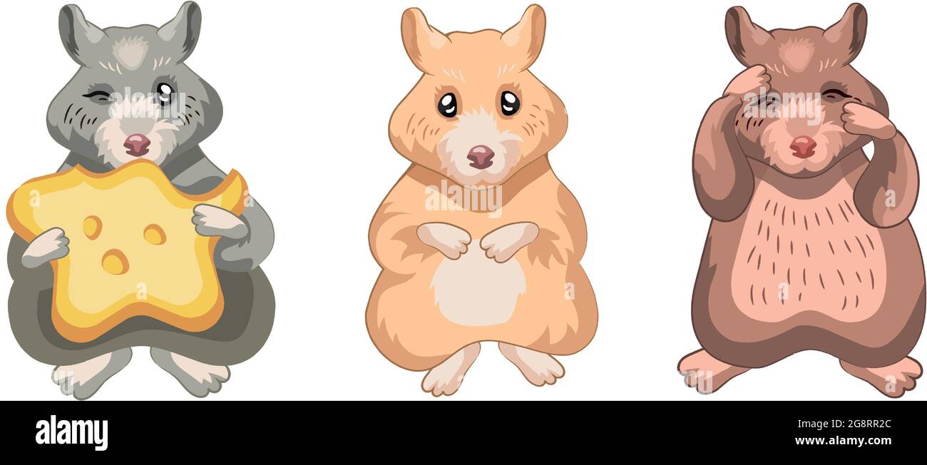 Trois hamsters réalistes sur fond blanc - illustration vectorielle Illustration de Vecteur