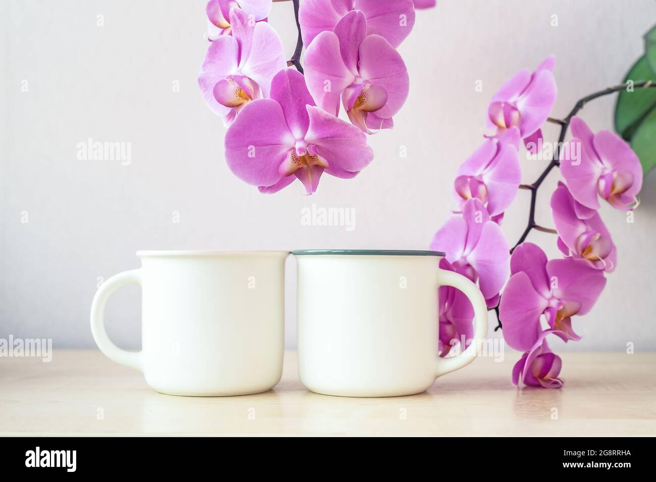 Maquette de deux tasses blanches sur table avec décor de fleurs d'orchidées Banque D'Images