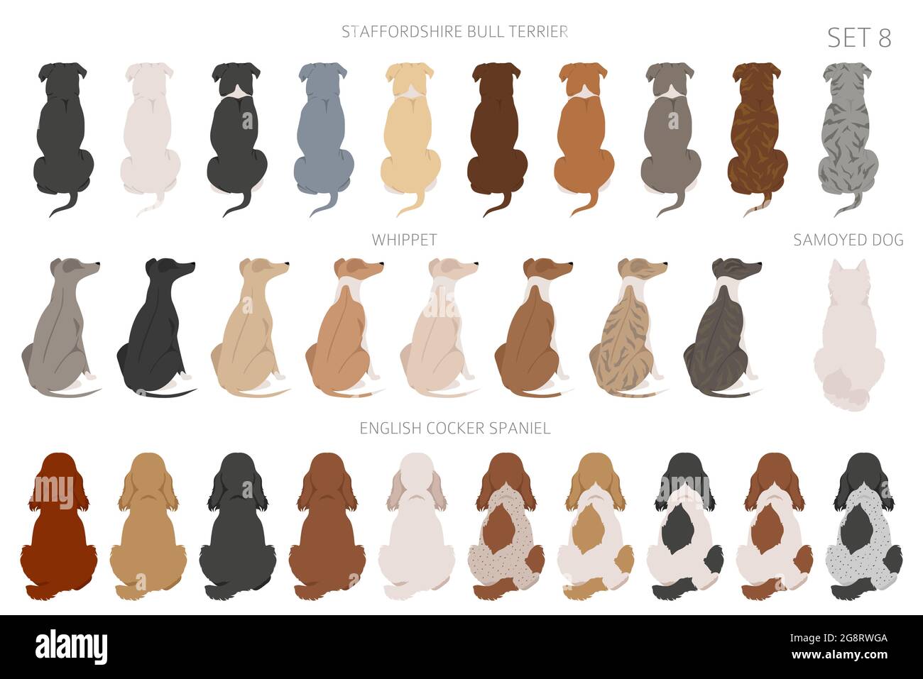 Vue arrière des chiens assis sur la falaise arrière. Variété de couleurs de pelage Different. Motif animal pour les amoureux de chiens. Illustration vectorielle Illustration de Vecteur