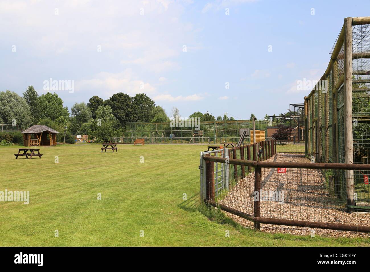 Big Cat Sanctuary, Headcorn Road, Smarden, Ashford, Kent, Angleterre, Grande-Bretagne, Royaume-Uni, Europe Banque D'Images