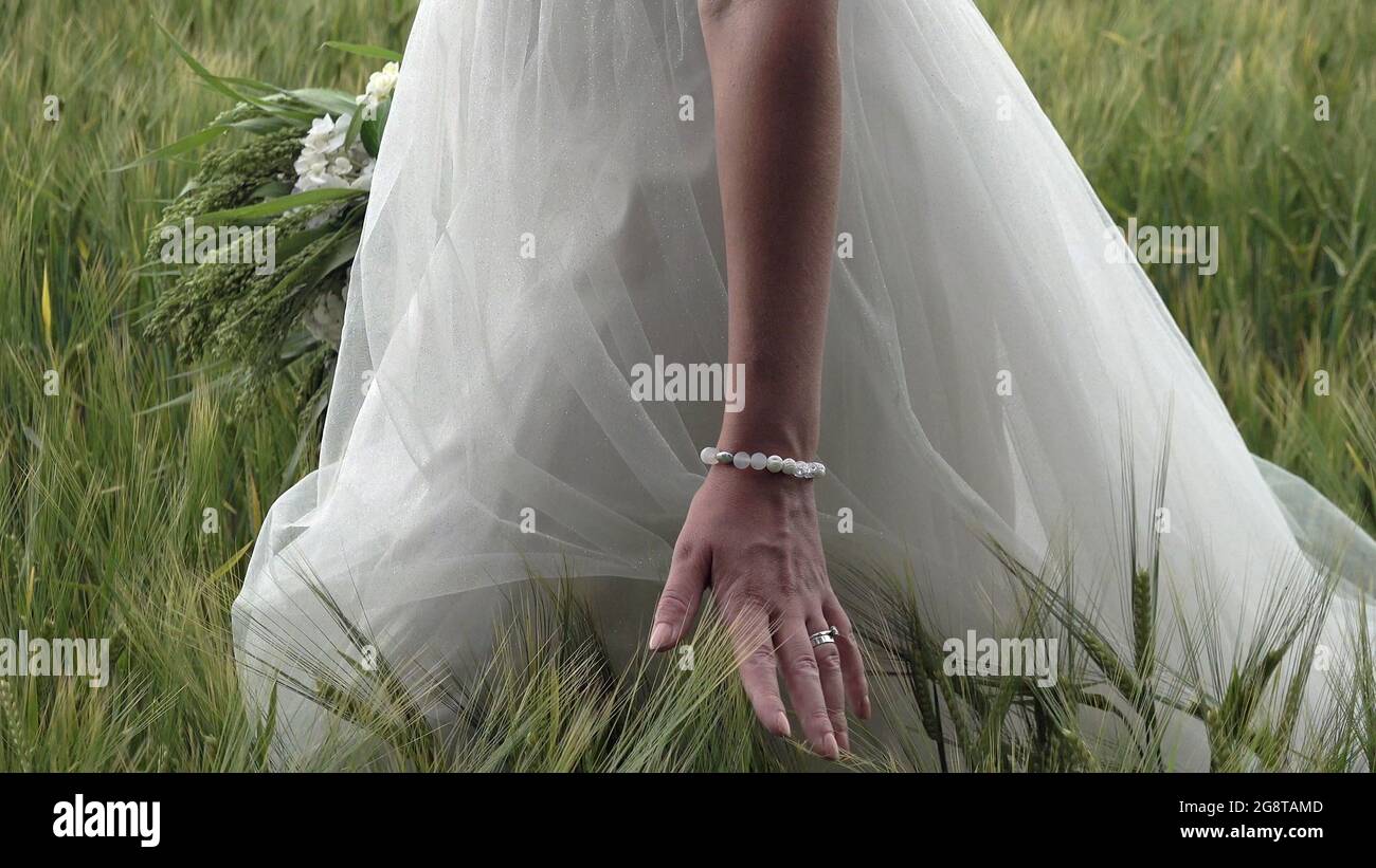 Main de la mariée caresses de l'avoine dans le champ. Il a un bracelet de perle sur sa main. Banque D'Images