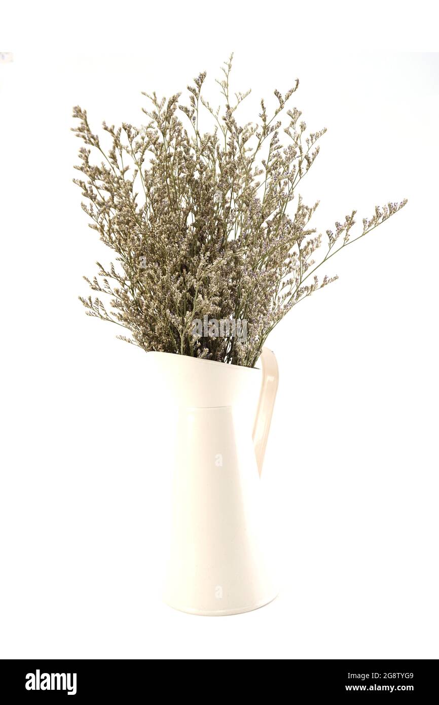 bouquet de fleurs séchées dans un vase en métal isolé sur fond blanc Banque D'Images