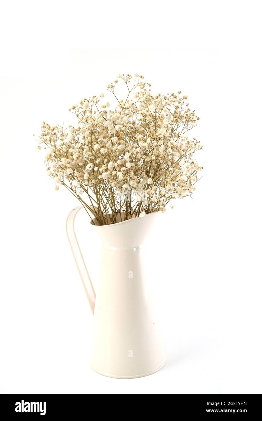 bouquet de fleurs séchées isolé sur fond blanc Banque D'Images