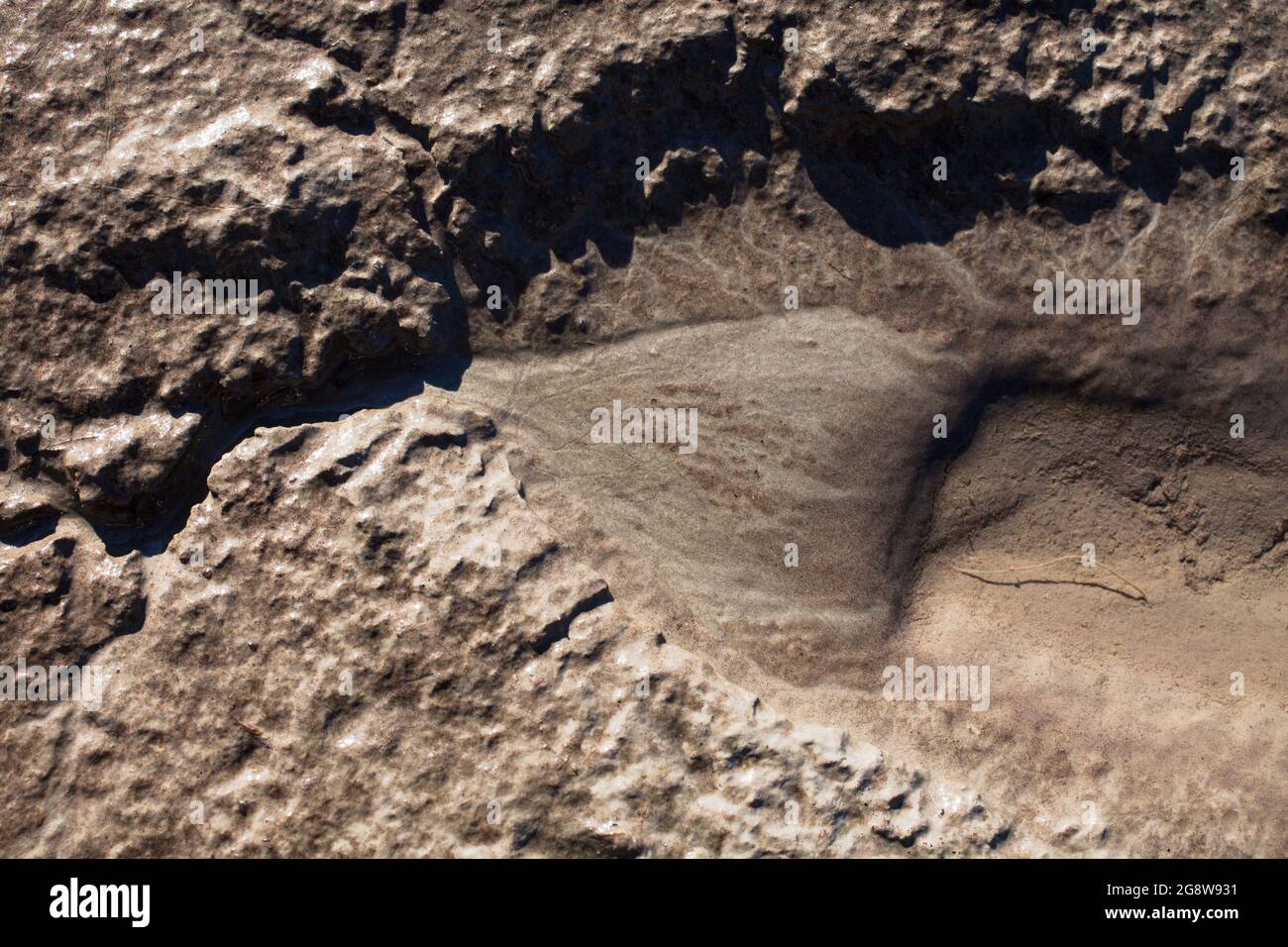 Caractéristiques géographiques à micro-échelle dans le limon après une inondation de rivière. Le paysage ressemble à des images satellites, avec des canyons, des vallées fluviales et des deltas. Banque D'Images