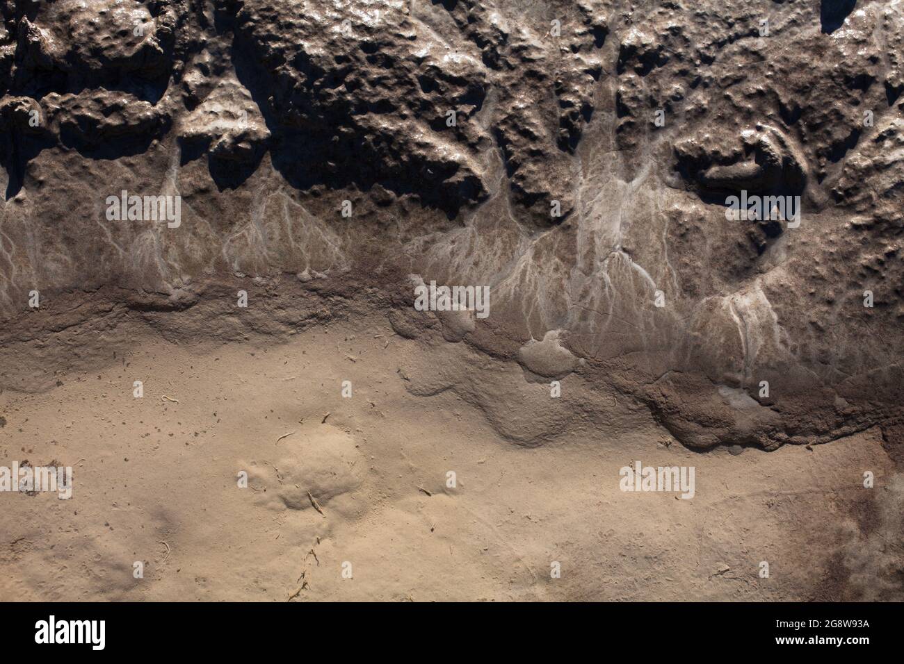 Caractéristiques géographiques à micro-échelle dans le limon après une inondation de rivière. Le paysage ressemble à des images satellites, avec des canyons, des vallées fluviales et des deltas. Banque D'Images