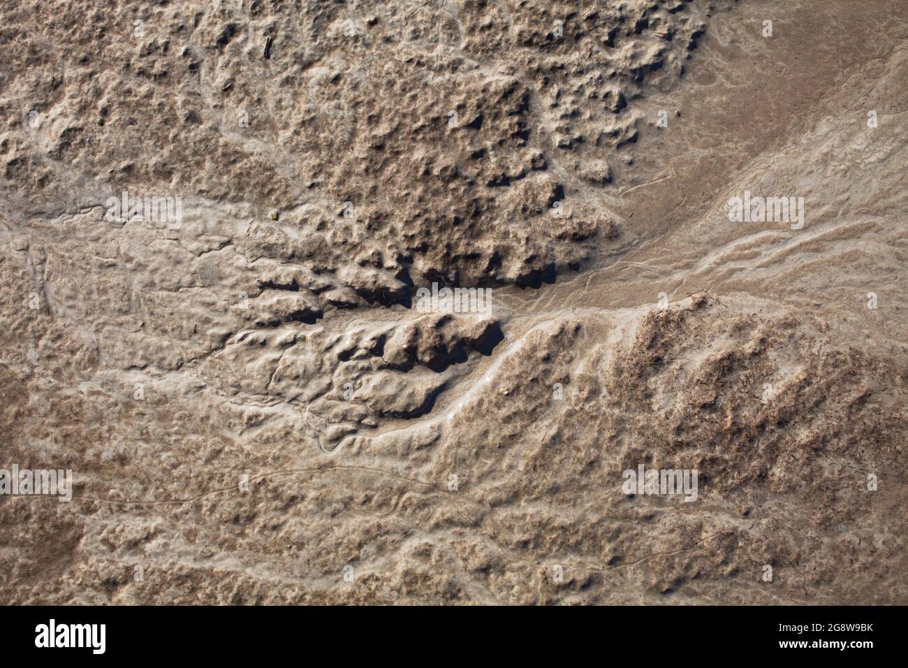 Caractéristiques géographiques à micro-échelle dans le limon après une inondation de rivière. Le paysage ressemble à des images satellites, avec des canyons, des vallées fluviales et des deltas. Banque D'Images