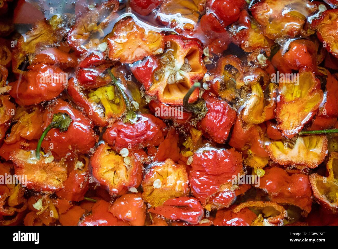 processus de préparation de l'huile de piment chaud, préparation de poivre fantôme, vue du dessus Banque D'Images