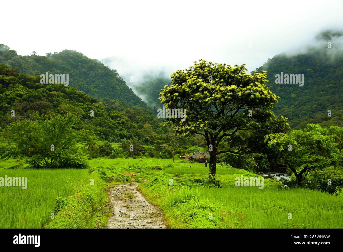 Une randonnée pittoresque jusqu'aux chutes de Kabigan, Pagudpud Ilocos Norte. Banque D'Images