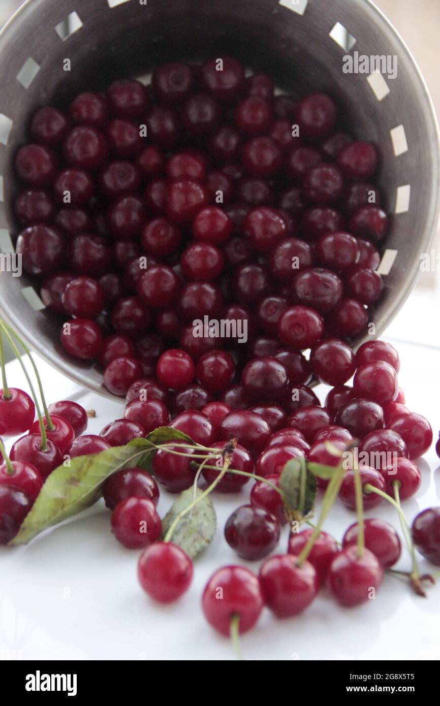 Cerises rouges déversées du panier sur un sol blanc Banque D'Images