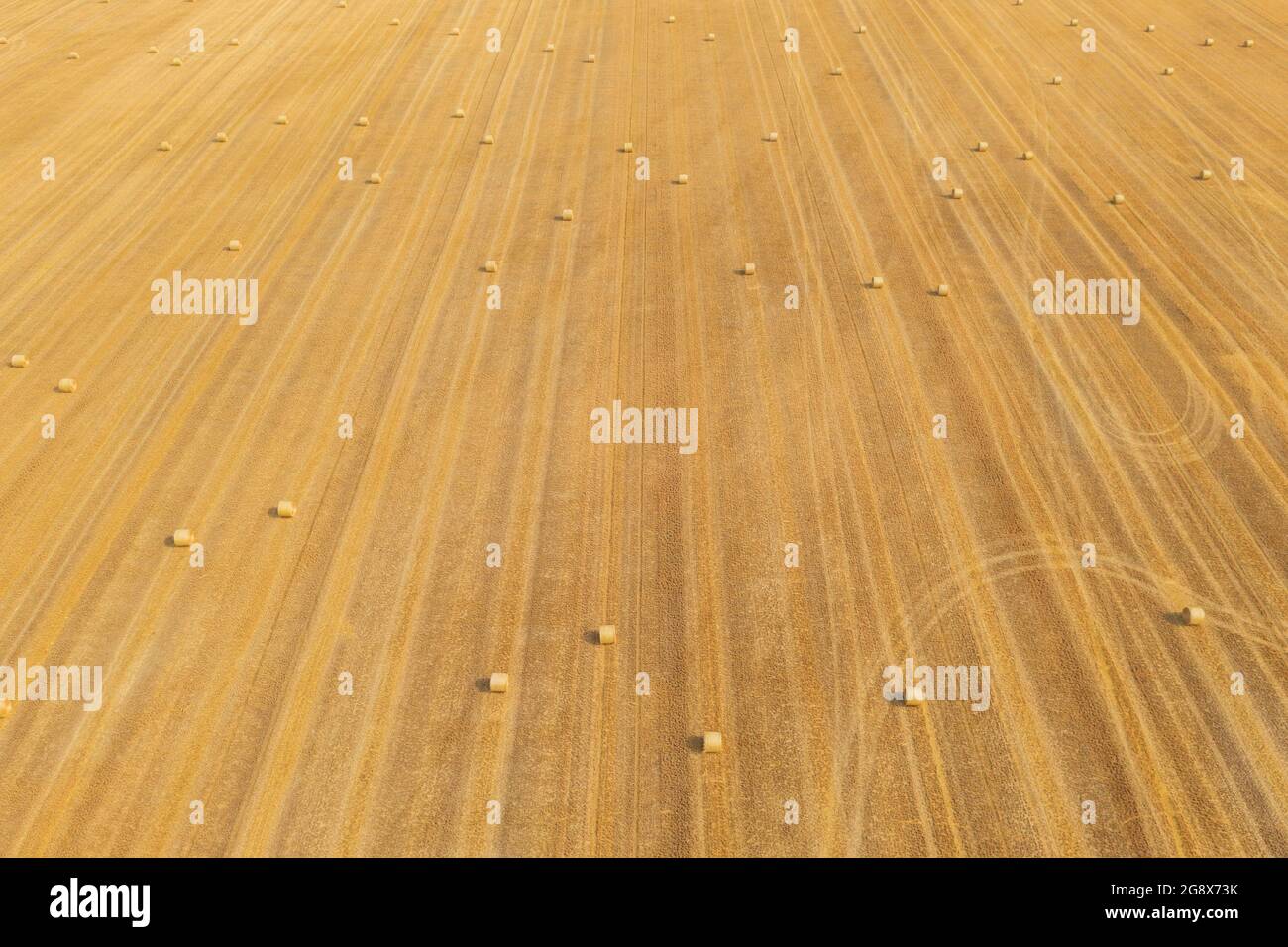 Vue aérienne des balles de foin sur le champ agricole après la récolte. Paysage agricole. Banque D'Images