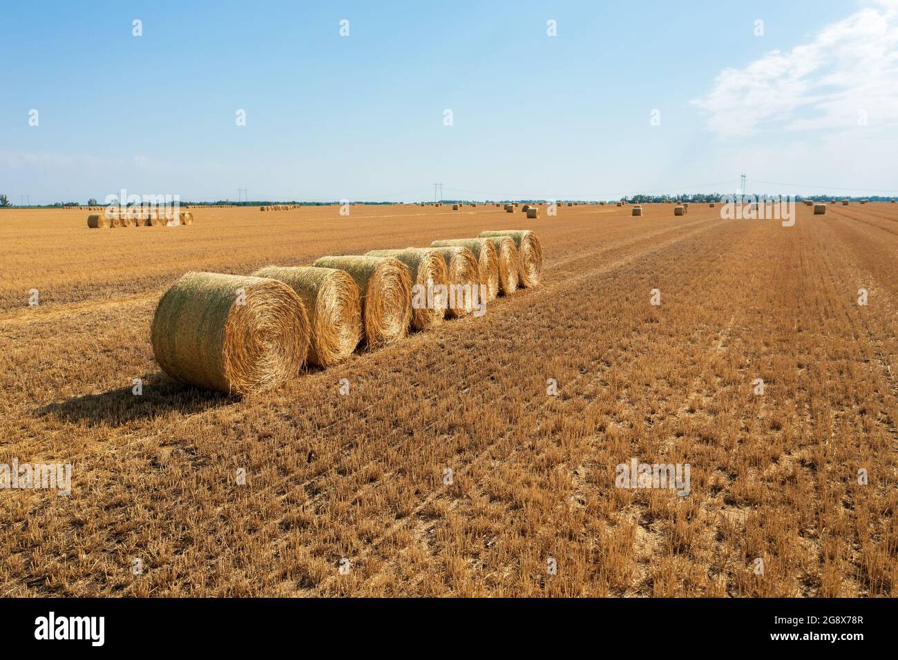 Vue aérienne des balles de foin sur le champ agricole après la récolte. Paysage agricole. Banque D'Images