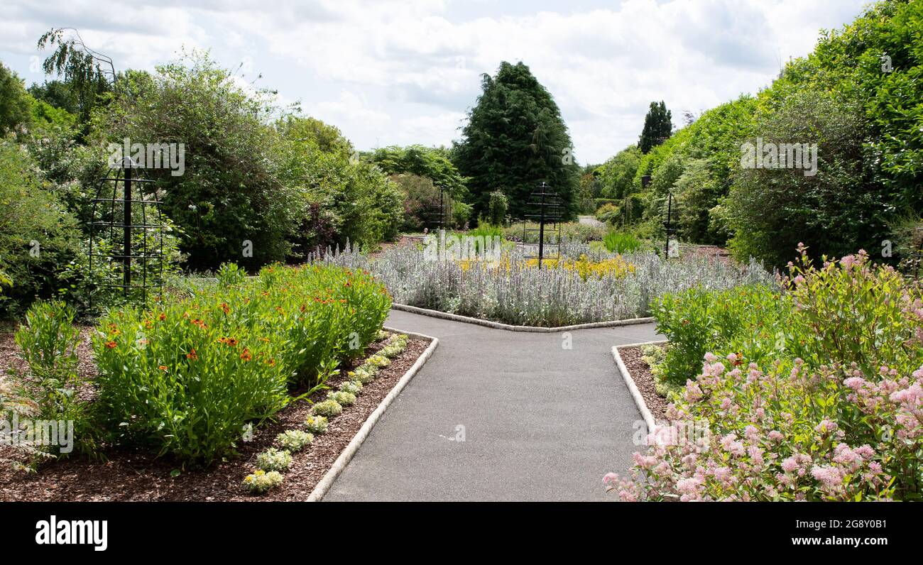 Les genoux brisés jardins aménagement paysager difficile Banque D'Images