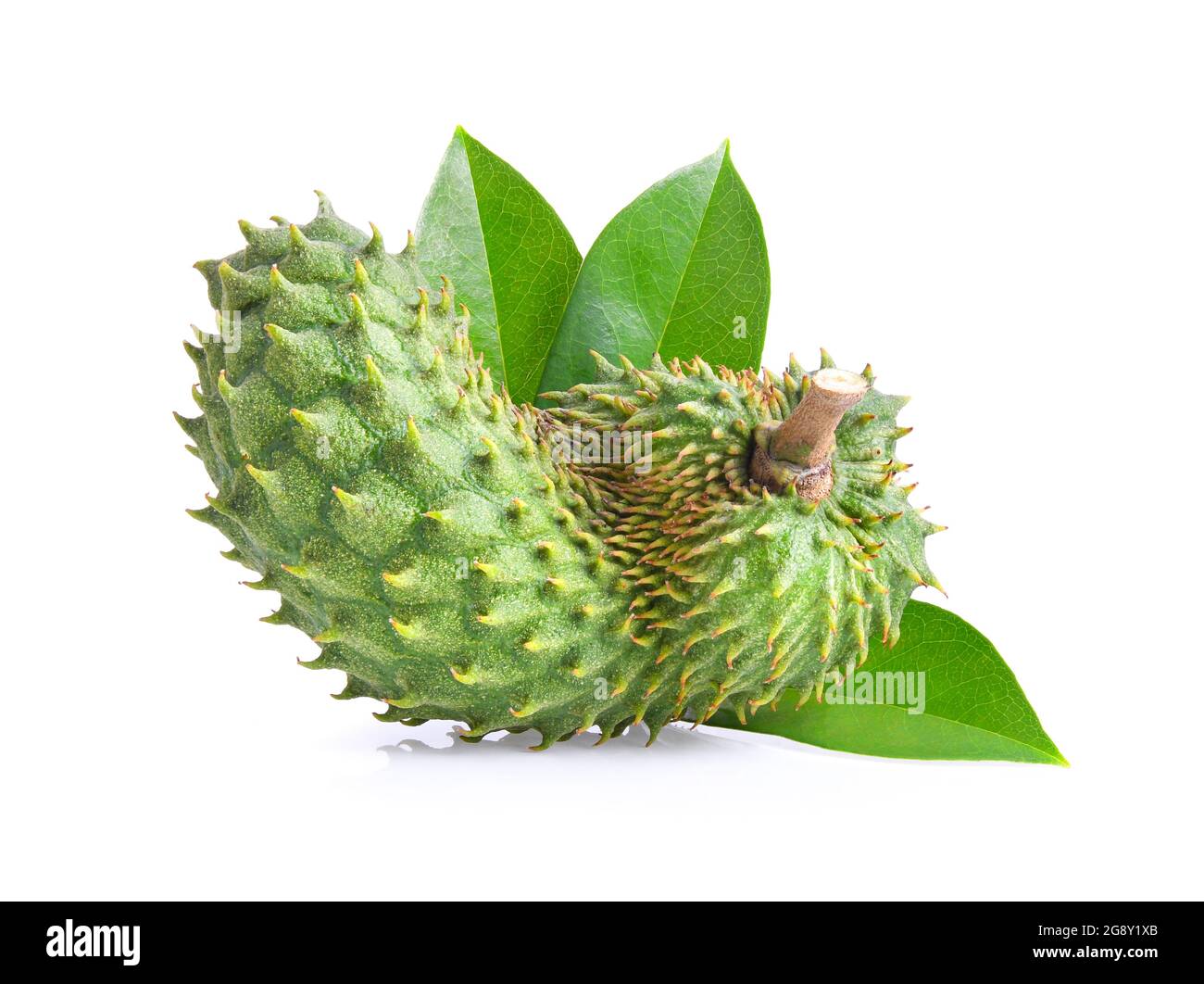 Fruit soursop sur fond blanc Banque D'Images