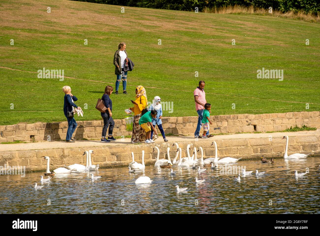 Autour du parc Roundhay à Leeds, la famille se rassemble pour nourrir les cygnes blancs qui habitent le lac Waterloo, West Yorkshire, Royaume-Uni. Banque D'Images