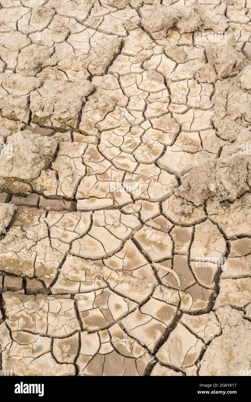 Prise de vue d'un champ sec fissuré. Pour la canicule 2022, la sécheresse au Royaume-Uni, la terre ariée, les pertes de récolte, la canicule européenne/américaine, la saison chaude de l'été, les terres agricoles sèches au Royaume-Uni Banque D'Images