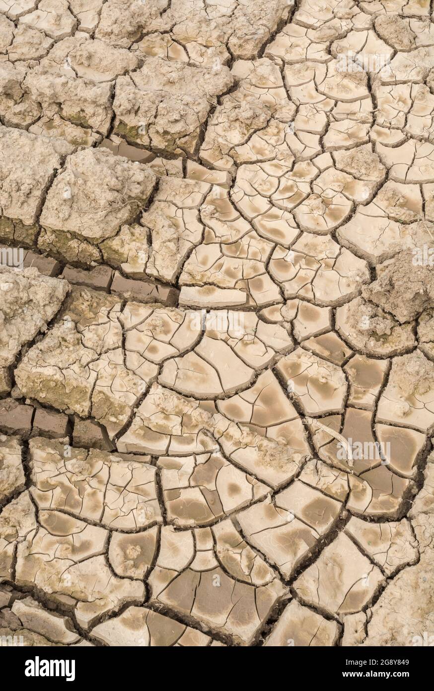 Prise de vue d'un champ sec fissuré. Pour la canicule 2022, la sécheresse au Royaume-Uni, la terre ariée, les pertes de récolte, la canicule européenne/américaine, la saison chaude de l'été, les terres agricoles sèches au Royaume-Uni Banque D'Images