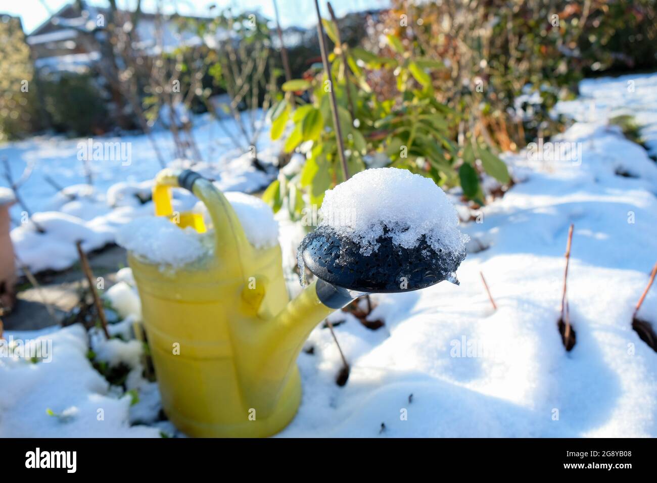 Un arrosoir jaune peut se mettre dans le jardin enneigé en hiver Banque D'Images