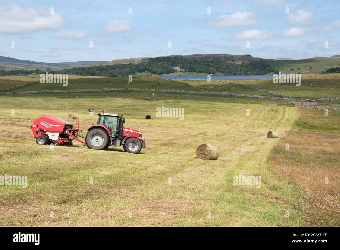 Fabrication de foin à Malhamdale Banque D'Images