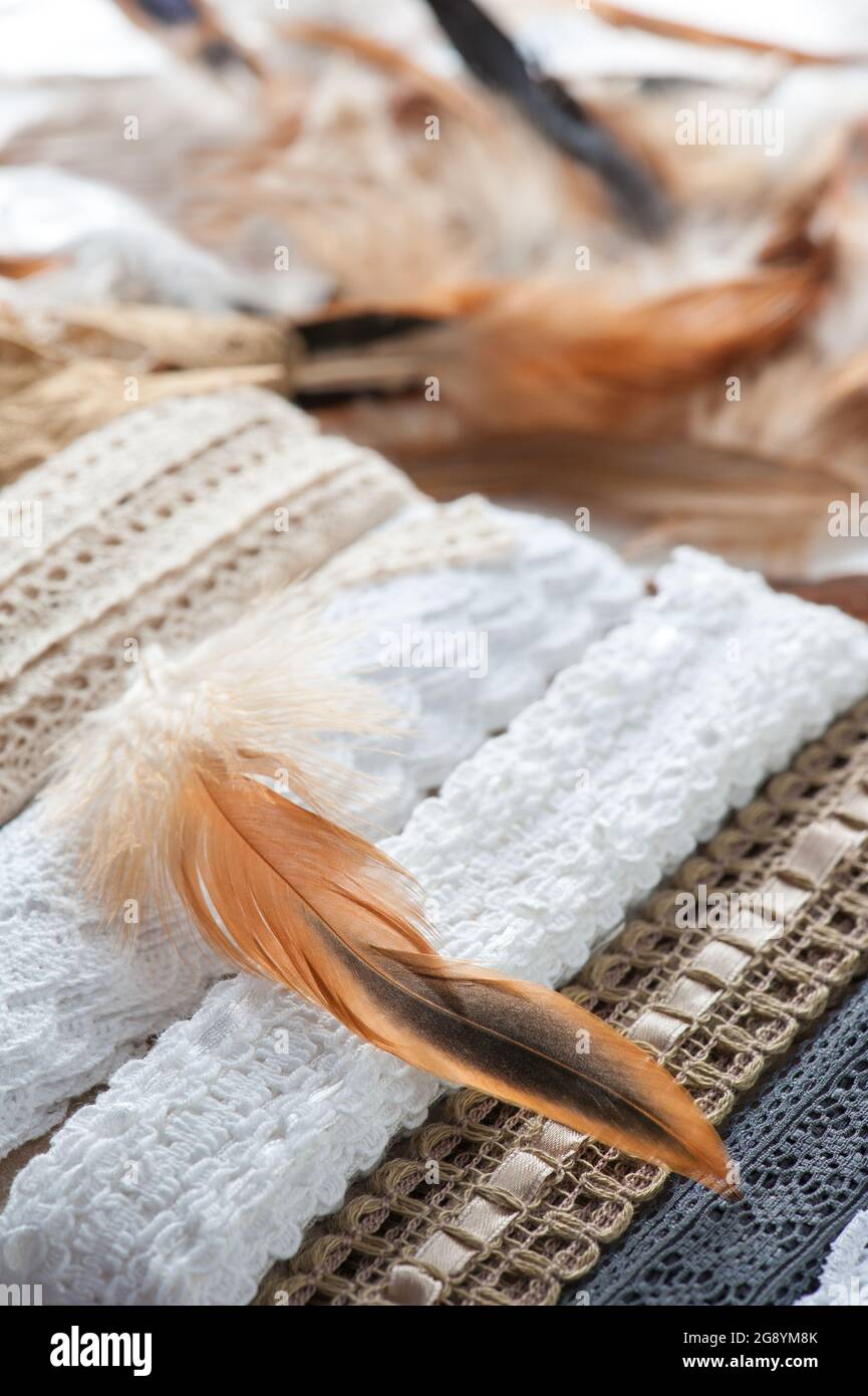 Gros plan de plumes rouges brillantes sur fond de lacets blancs beige. La vie encore faite à la main Banque D'Images