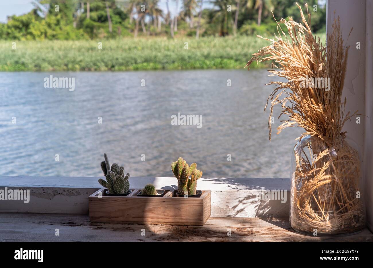 Coin reposant au bord de la rivière avec une oreille de riz séchée dans un pot en verre et un petit cactus dans un pot de plantes en bois pour la décoration sur le vieux tabl en bois Banque D'Images