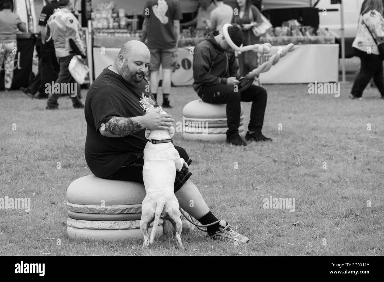 Un homme à la barbe et à la tête chauve, qui a bougé son chien blanc tout en étant assis sur un siège circulaire décoratif à un festival de la nourriture et des boissons, Harrogate, Royaume-Uni. Banque D'Images
