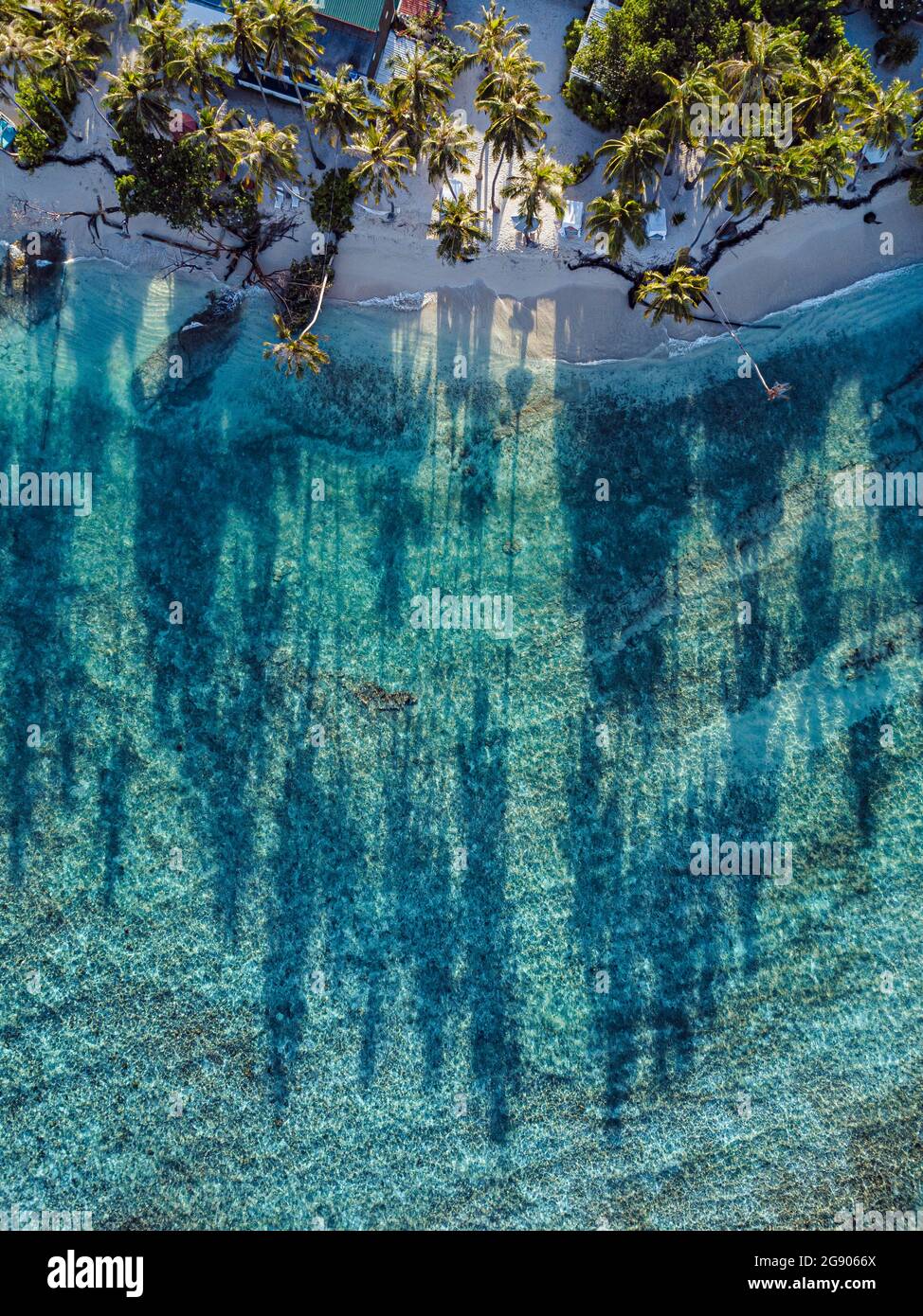 Ombre d'arbres à la plage sur l'île de Thulusdhoo, atoll de Kaafu, Maldives Banque D'Images