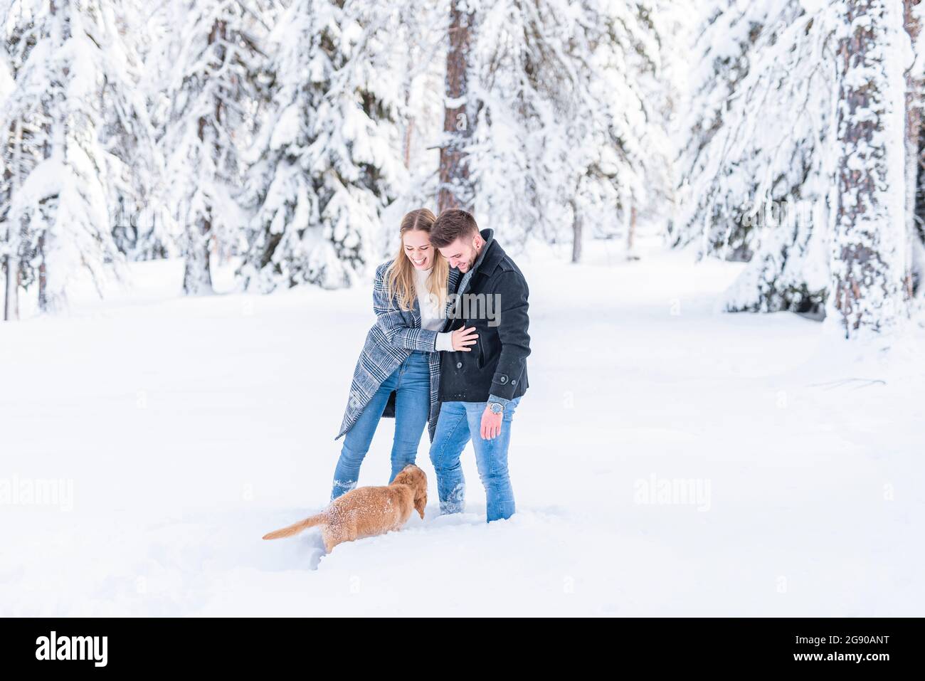 Jeune couple debout dans la neige avec un chien pendant les vacances Banque D'Images