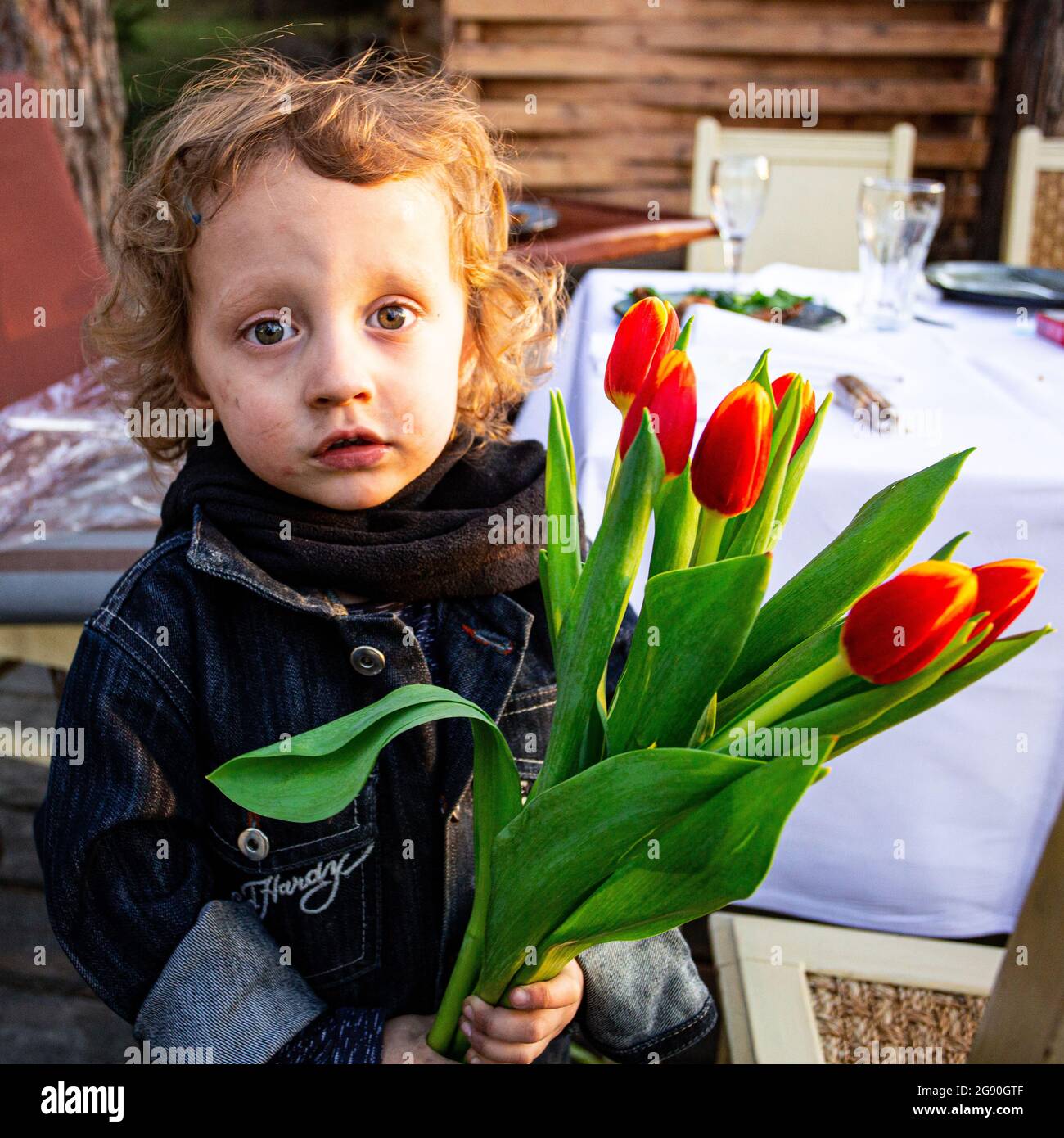 3 ans mignon petit garçon ukrainien avec des cheveux bouclés garde un tas de tulipes rouges prêts à féliciter sa mère avec le 8 mars Banque D'Images