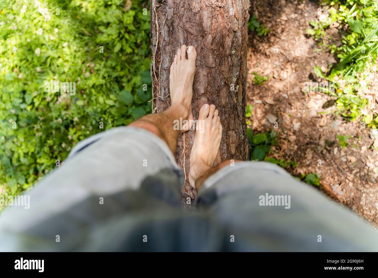 Homme marchant sur un arbre tombé Banque D'Images