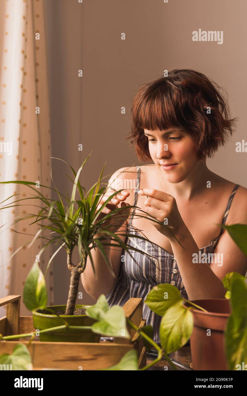 Femme touchant les plantes de maison à la maison Banque D'Images