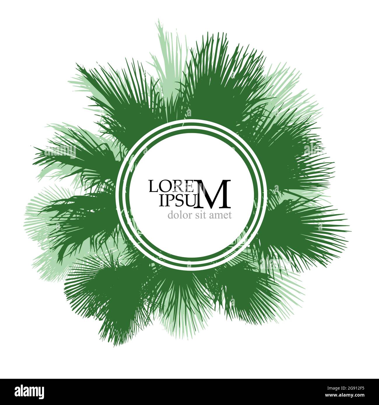 Cadre de feuilles de palmier. Illustration vectorielle Illustration de Vecteur
