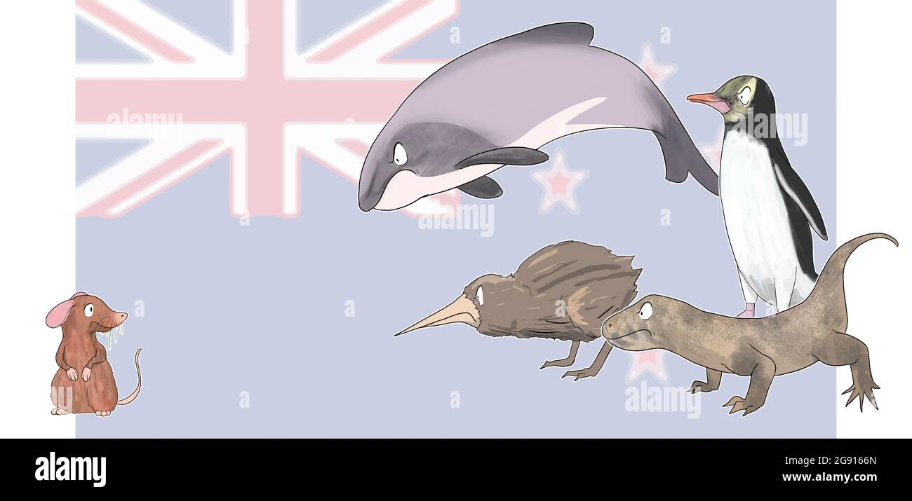Rats en Nouvelle-Zélande, illustration Banque D'Images