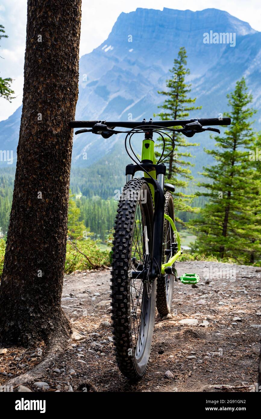 Un vélo tout-terrain adulte se penche contre un arbre sur un sentier de randonnée pédestre dans les montagnes rocheuses du parc national Banff. Banque D'Images