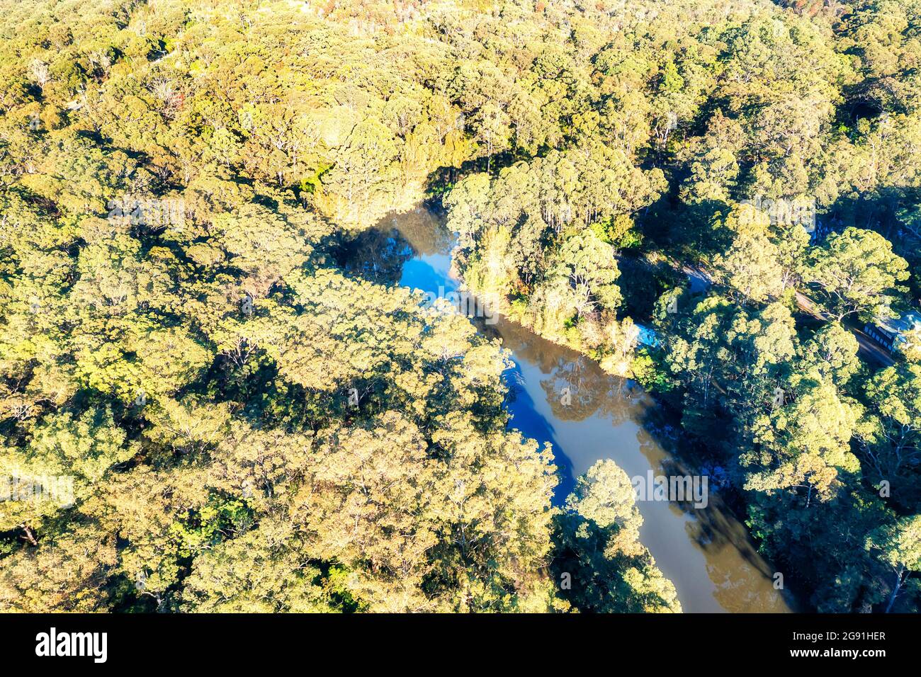 Sommets arborés du parc national de Lane Cove à Sydney, en Australie - vue aérienne du haut vers le bas le long du serpent d'eau. Banque D'Images