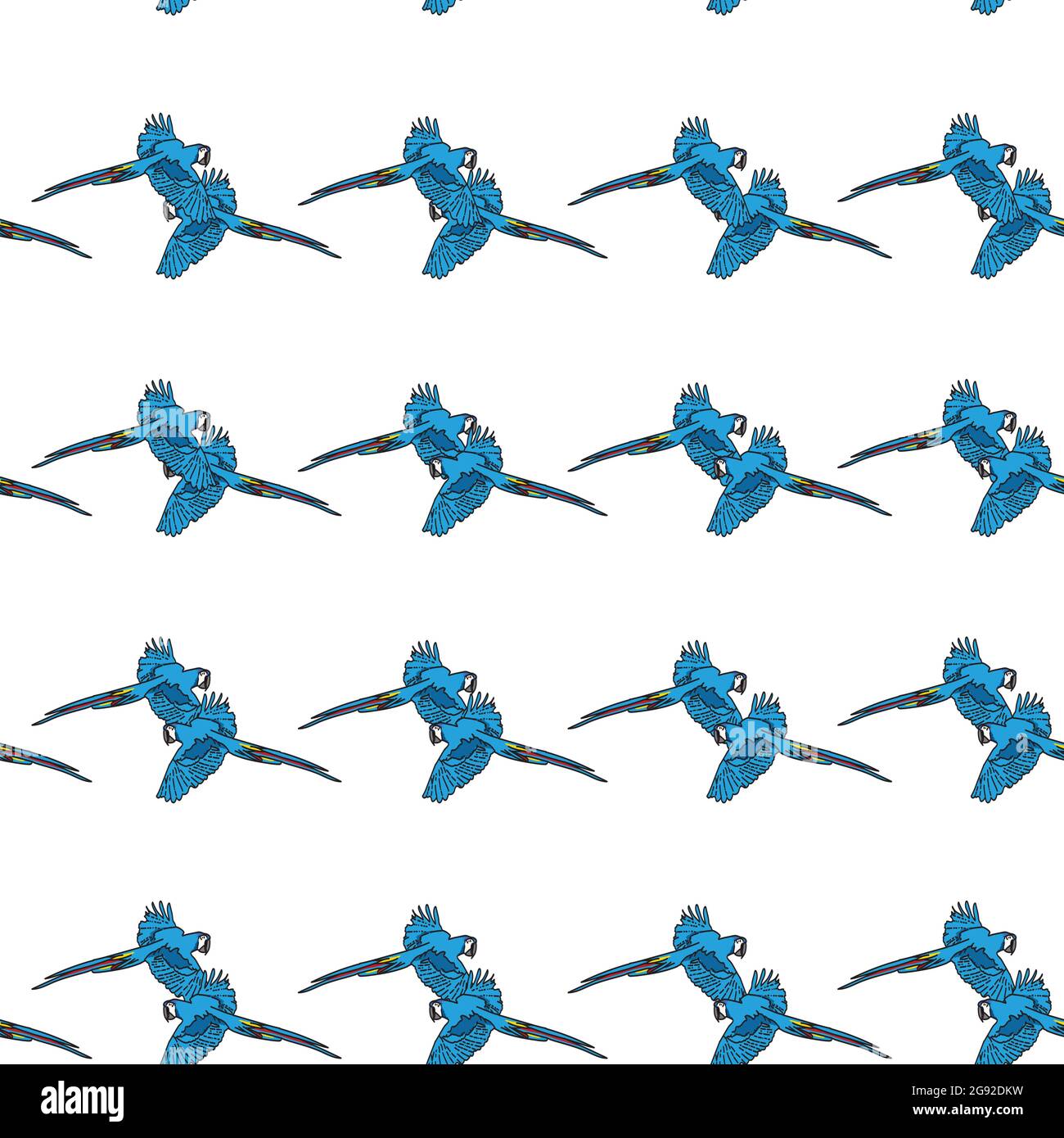 Vecteur blanc fond oiseaux tropicaux, perroquets, macaw, cacatoès exotiques. Arrière-plan sans couture Illustration de Vecteur