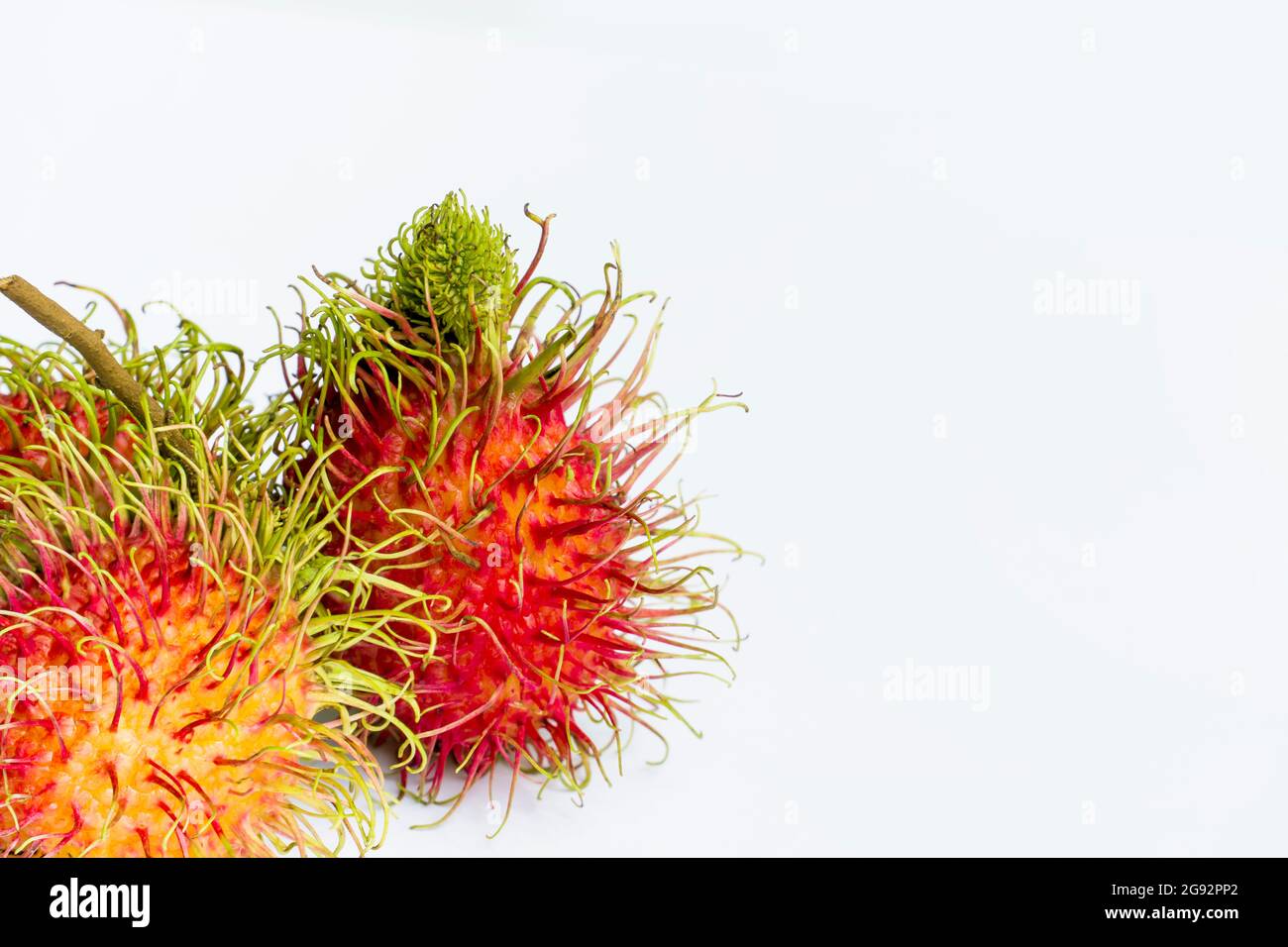 Rambutan mûr avec la peau et les cheveux isolés sur fond blanc. Banque D'Images