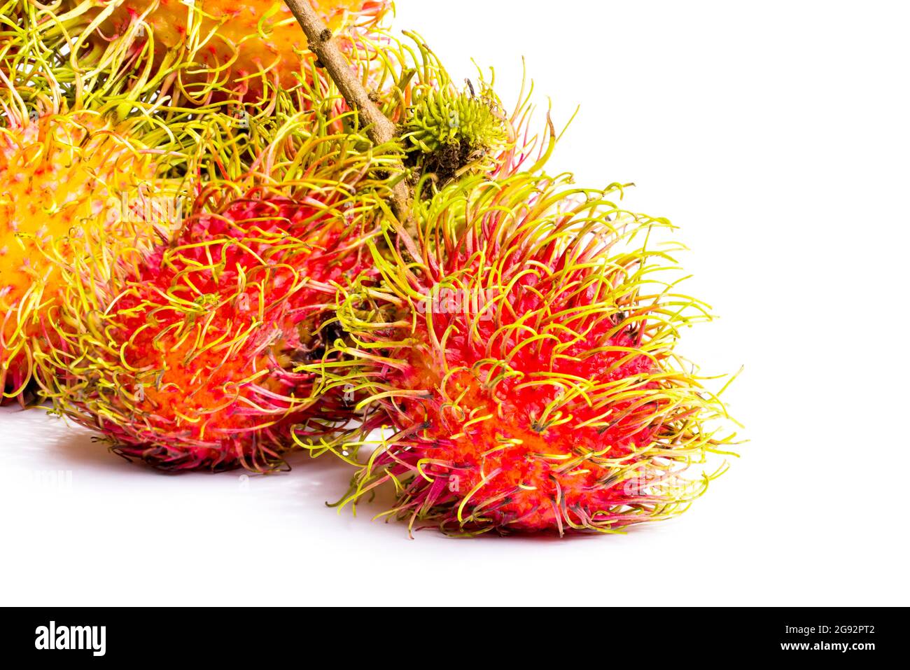 Doux rambutan poilu délicieux fruits, maintenant il en saison isolé sur fond blanc. Banque D'Images