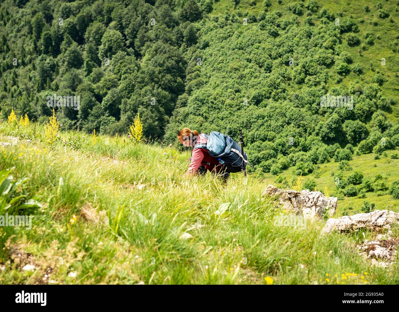 Randonneur solitaire en randonnée sur le mur Chamois sur la route piétonne européenne transitoire E-3 dans la réserve de biosphère de l'UNESCO des Balkans centraux, Bulgarie, Europe Banque D'Images