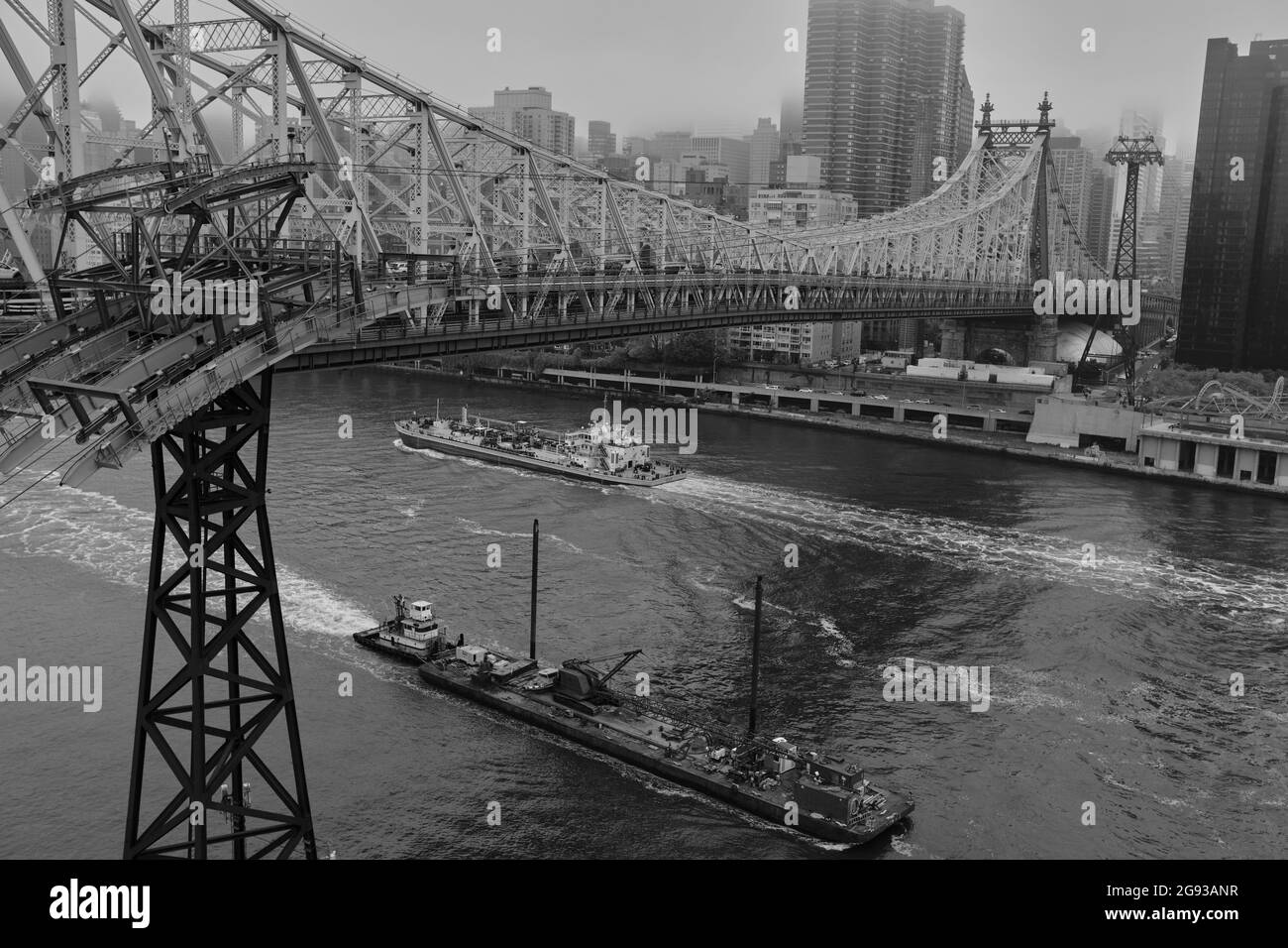 Styles vue sur Queensboro Bridge et New York depuis Roosevelt Island en noir et blanc Banque D'Images