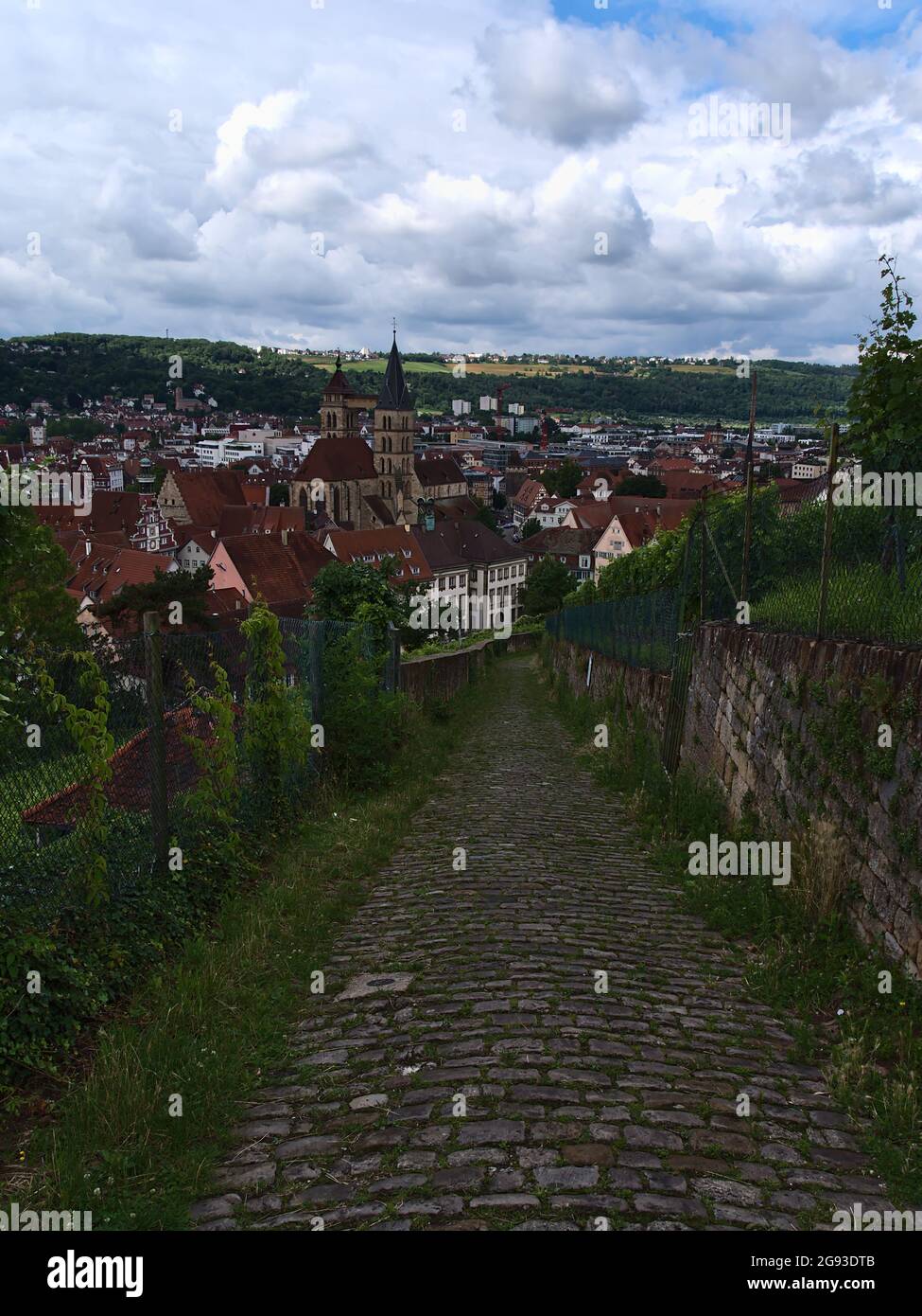 Perspective décroissante du chemin pavé 'Burgsteige' avec vignobles et belle vue sur le centre historique d'Esslingen le jour d'été nuageux. Banque D'Images
