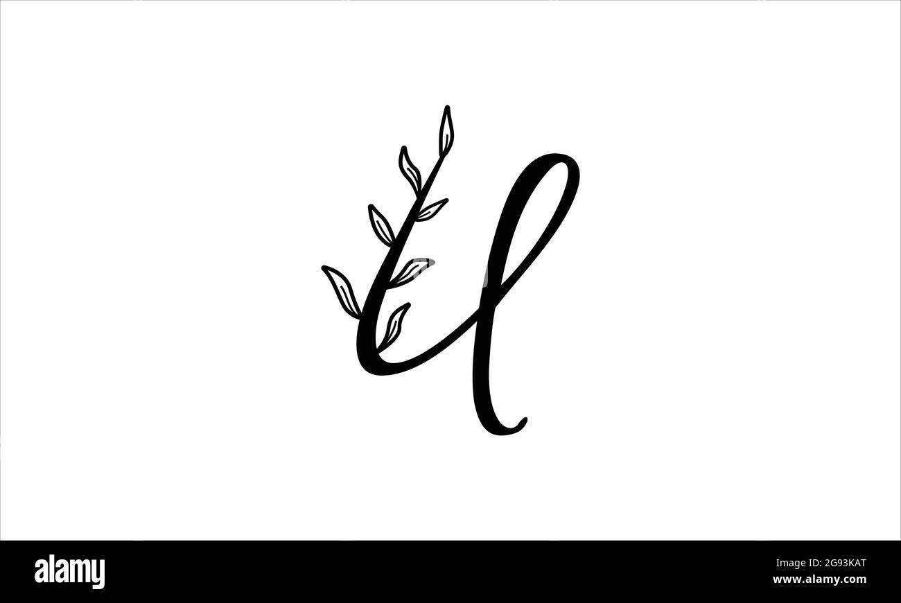 Lettre initiale U florale dessin main botanique boho icône logo design illustration vectorielle Illustration de Vecteur