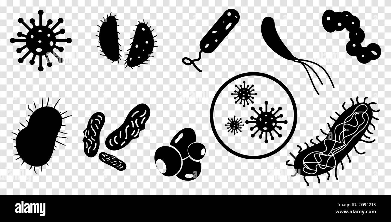 Ensemble de signes de bactéries. Bactéries, microbes icônes. Illustration vectorielle isolée sur fond transparent Illustration de Vecteur