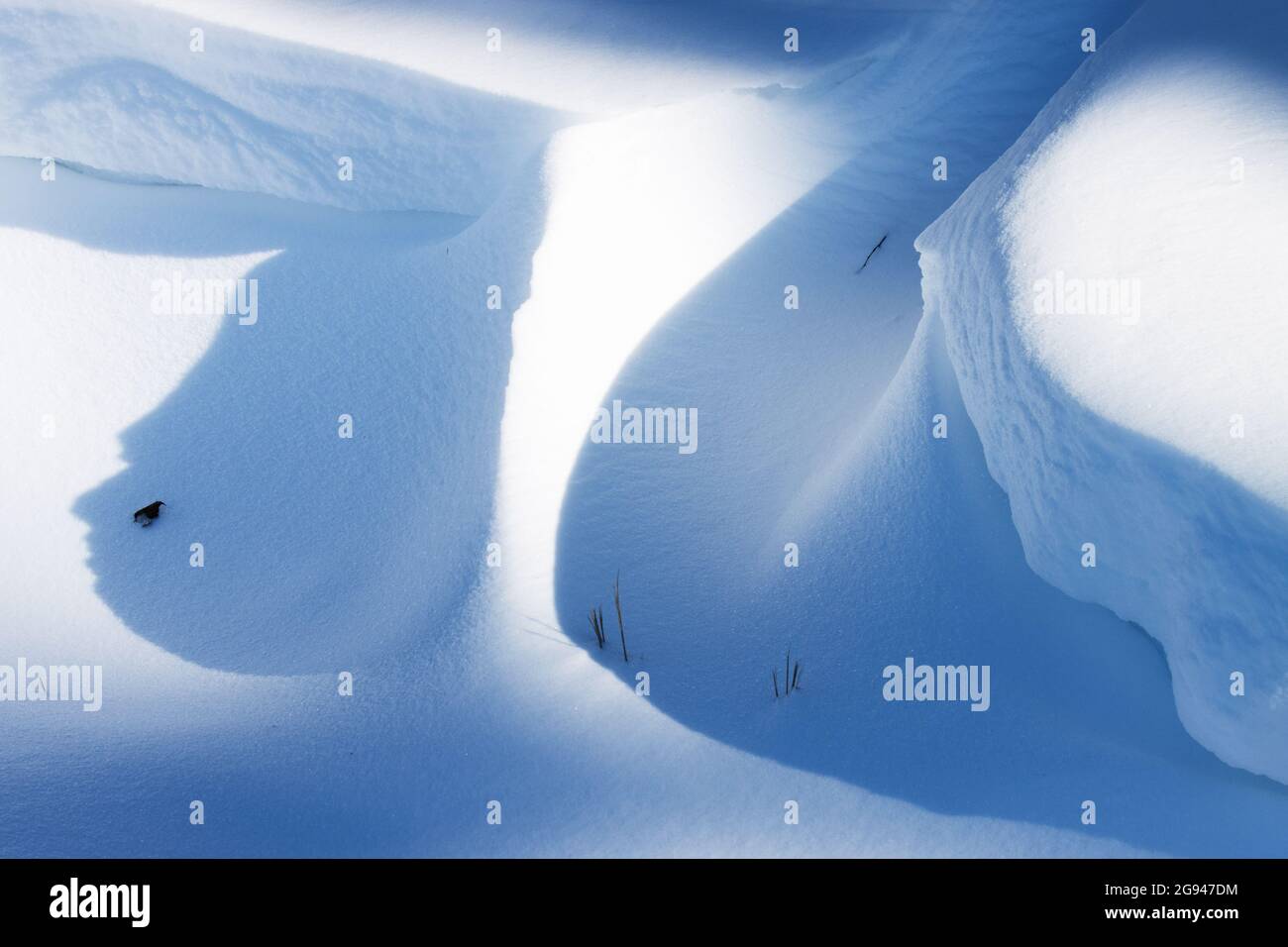 Déneigeuse avec des ombres bleues pendant une journée ensoleillée à la fin de l'hiver en Europe. Banque D'Images