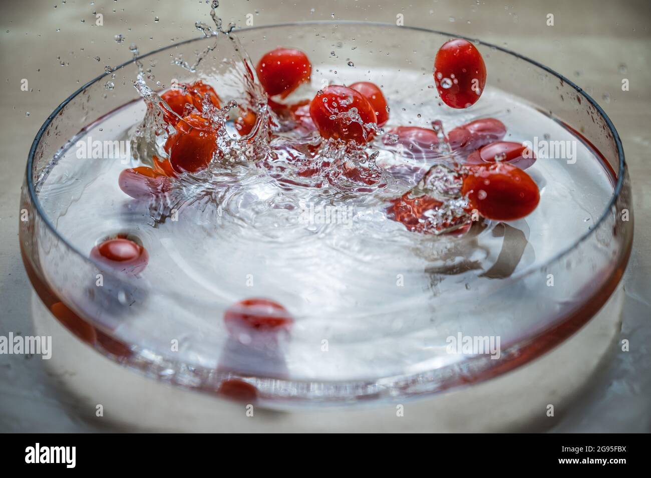 Antioxydant naturel biologique légumes frais rouge bébé cerise prune tomatos (tomate bébé, tomate cerise) groupe tombant sur le bol d'eau avec des éclaboussures d'eau Banque D'Images