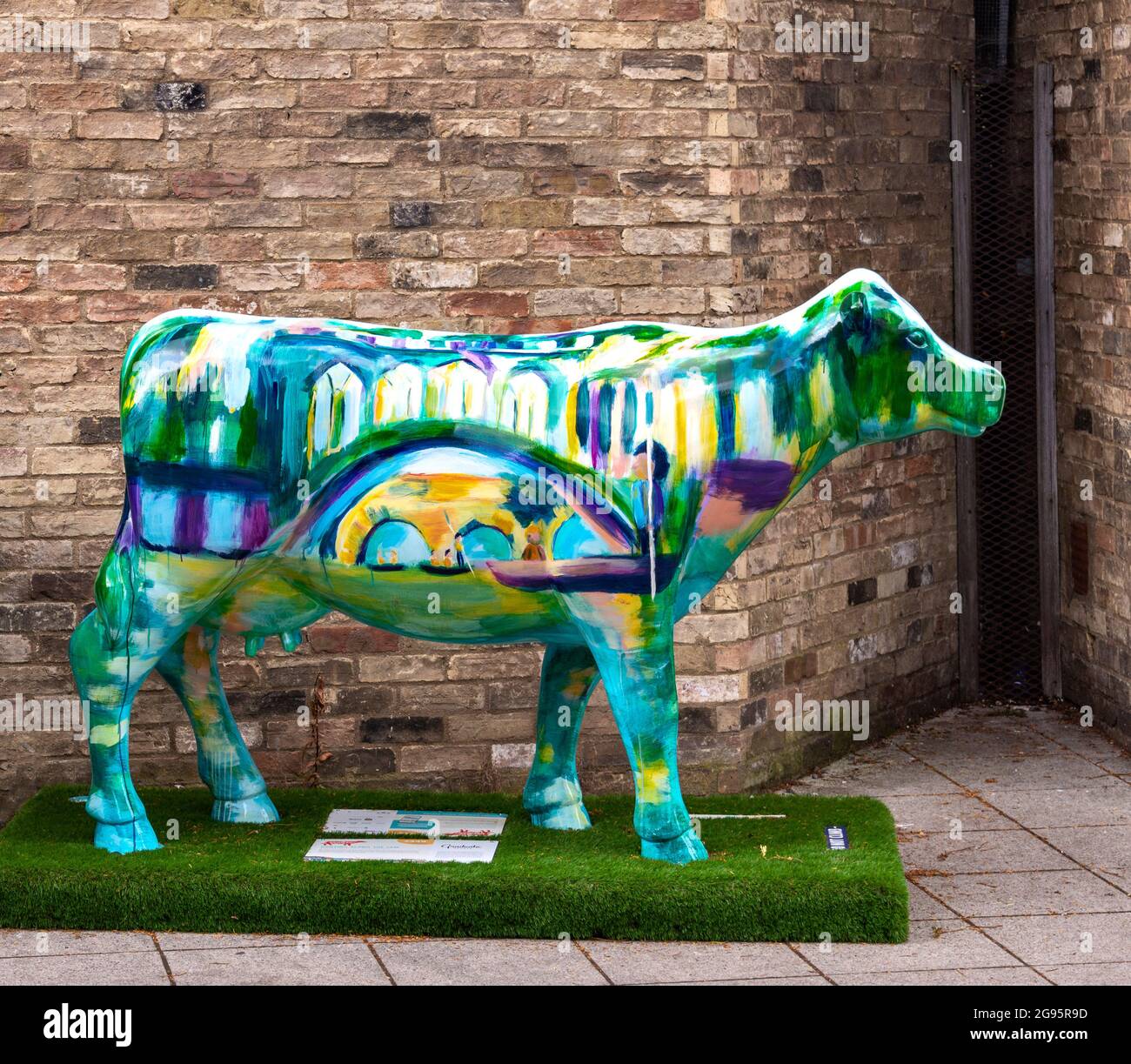 CAMBRIDGE ANGLETERRE VACHES À PROPOS DE CAMBRIDGE UNE SCULPTURE COW PEINTE EN VERT ET BLEU Banque D'Images