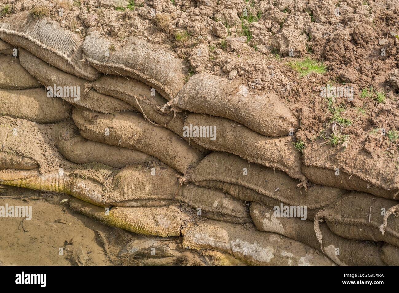 Sacs de sable en jute empilés recouverts d'une épaisse couche de terre  végétale et d'eau d'inondation. Une partie des efforts de contrôle de  l'érosion de l'eau mais utile pour les tranchées de